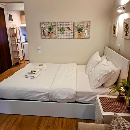 Studio Posh With Garden In Kolonaki Atina Dış mekan fotoğraf