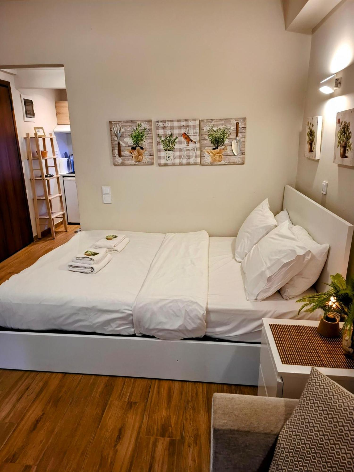 Studio Posh With Garden In Kolonaki Atina Dış mekan fotoğraf